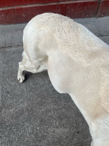 Photo from customer review