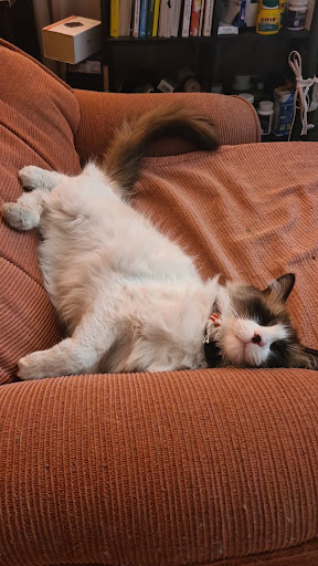 Photo from customer review