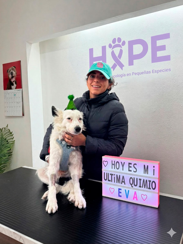 Una paciente perrita blanca llamada Eva celebrando con un gorrito de fiesta frente a un letrero que dice 'Hoy es mi última quimio'. La sostiene una mujer sonriente en las instalaciones de HOPE, oncólogos veterinarios en CDMX.
