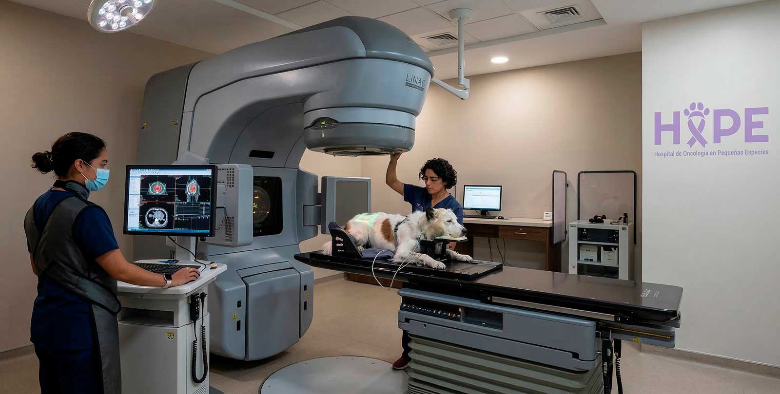 radioterapia-veterinaria